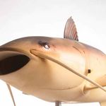 Robot fish "Charlie" was invented by CIAâs Directorate of Science to study aquatic robotic movement.